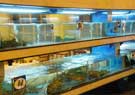 &#27431;&#23453;&#32593;&#39029;&#29256;&#30331;&#24405;&#20837;&#21475;&#45;&#27431;&#23453;&#111;&#110;&#108;&#105;&#110;&#101;&#40;&#20013;&#22269;&#41;